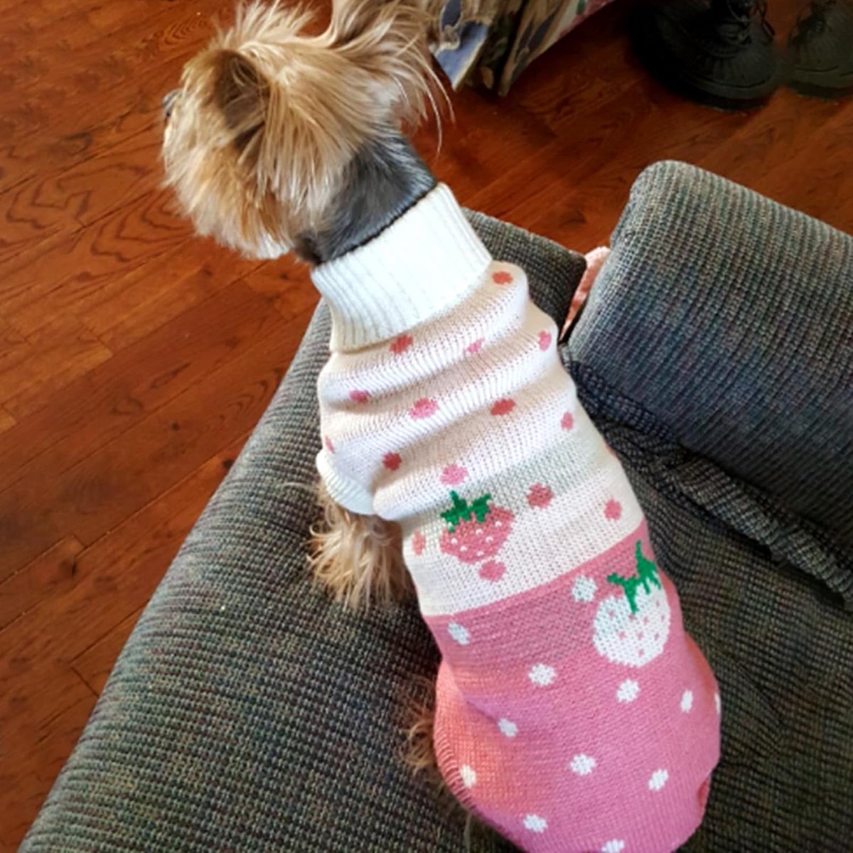 Dog Coat -  Dog Pullover - Turtleneck Knit Dog Sweater - S