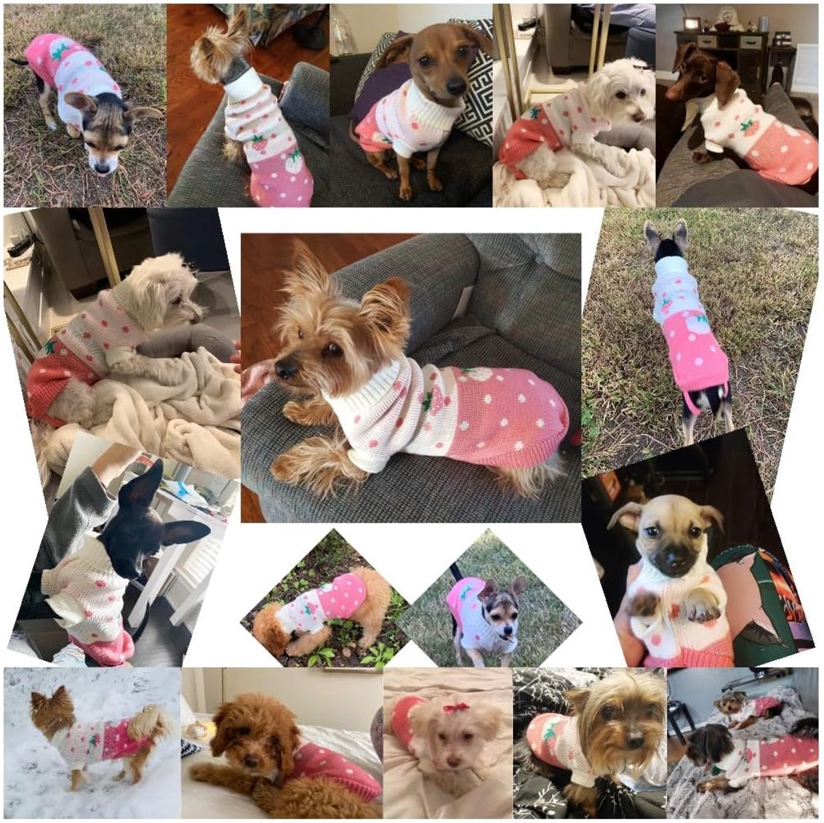 Dog Coat -  Dog Pullover - Turtleneck Knit Dog Sweater - S