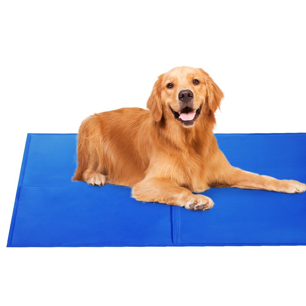 2X Pet Cooling Bed Gel Mat Dog Cat Non-Toxic, 50x40 CM