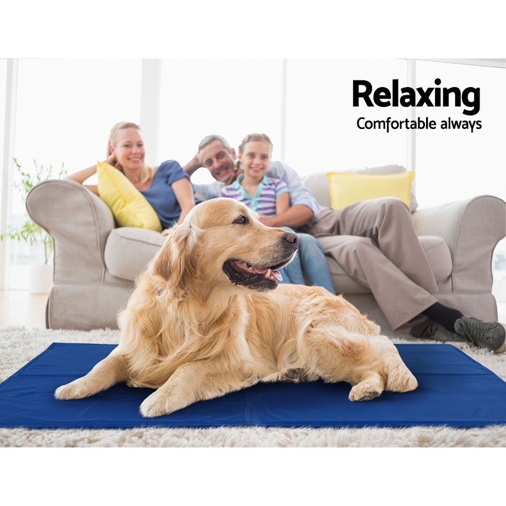 2X Pet Cooling Bed Gel Mat Dog Cat Non-Toxic, 50x40 CM