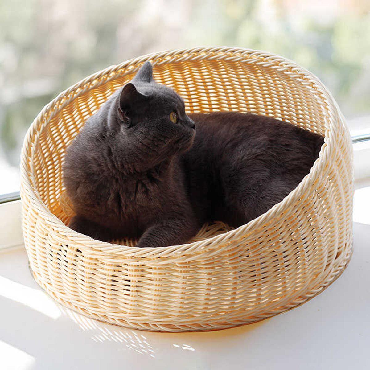 Rattan Cat Nest, Four Seasons Open Cat House, Pet Supplies - Green