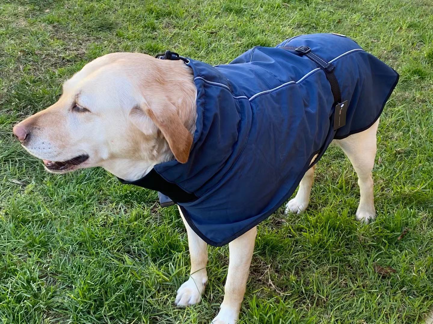 Pet Dog Raincoat Poncho Jacket, Waterproof Clothes with Harness Hole-S-Black