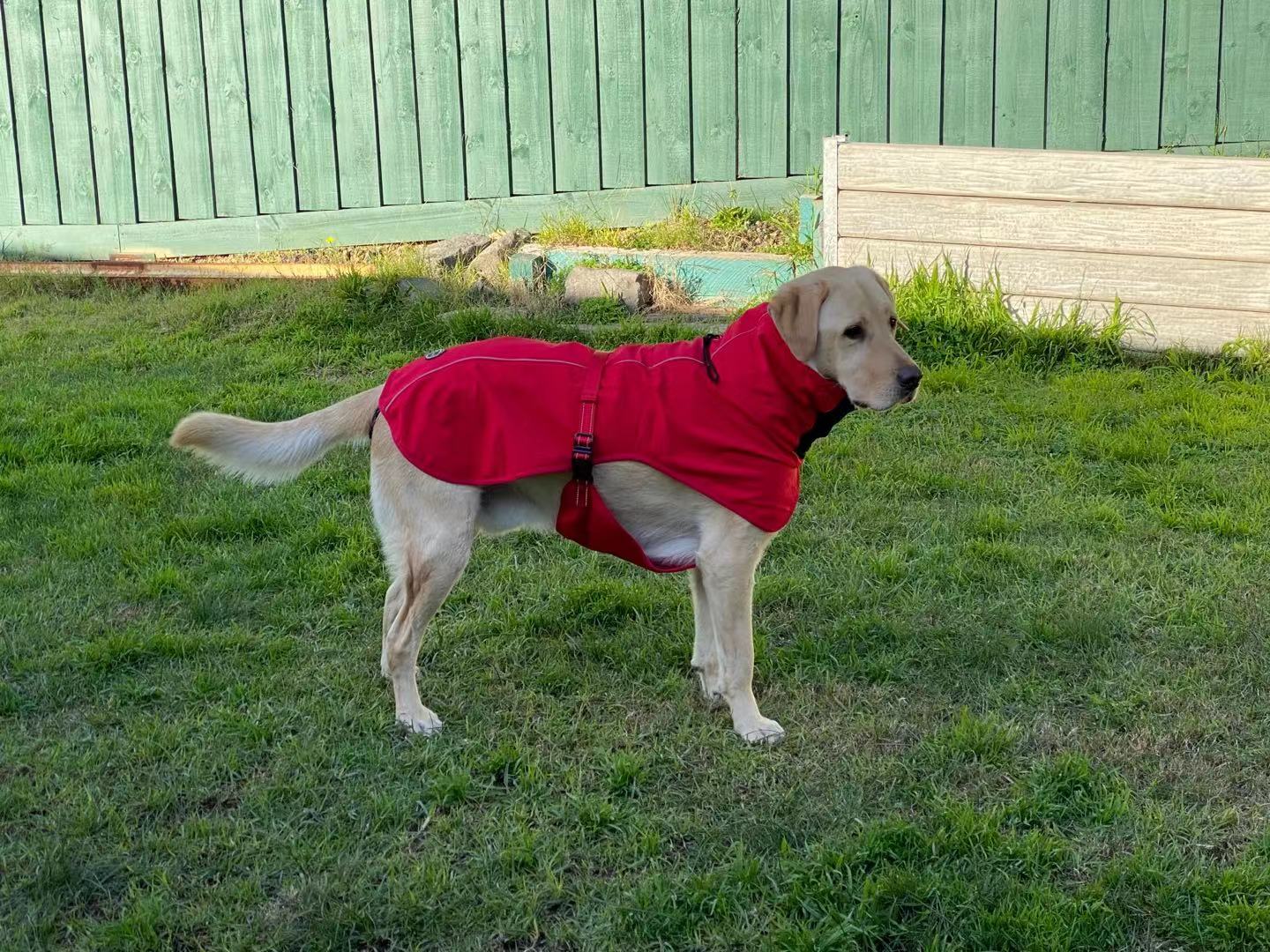 Pet Dog Raincoat Poncho Jacket, Waterproof Clothes with Harness Hole-S-Black