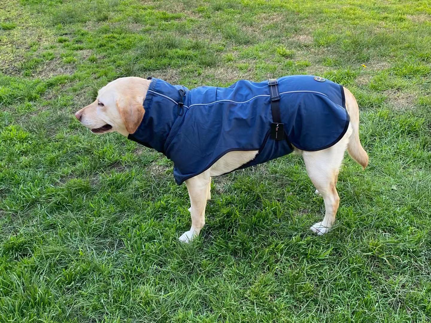 Pet Dog Raincoat Poncho Jacket, Waterproof Clothes with Harness Hole-S-Black