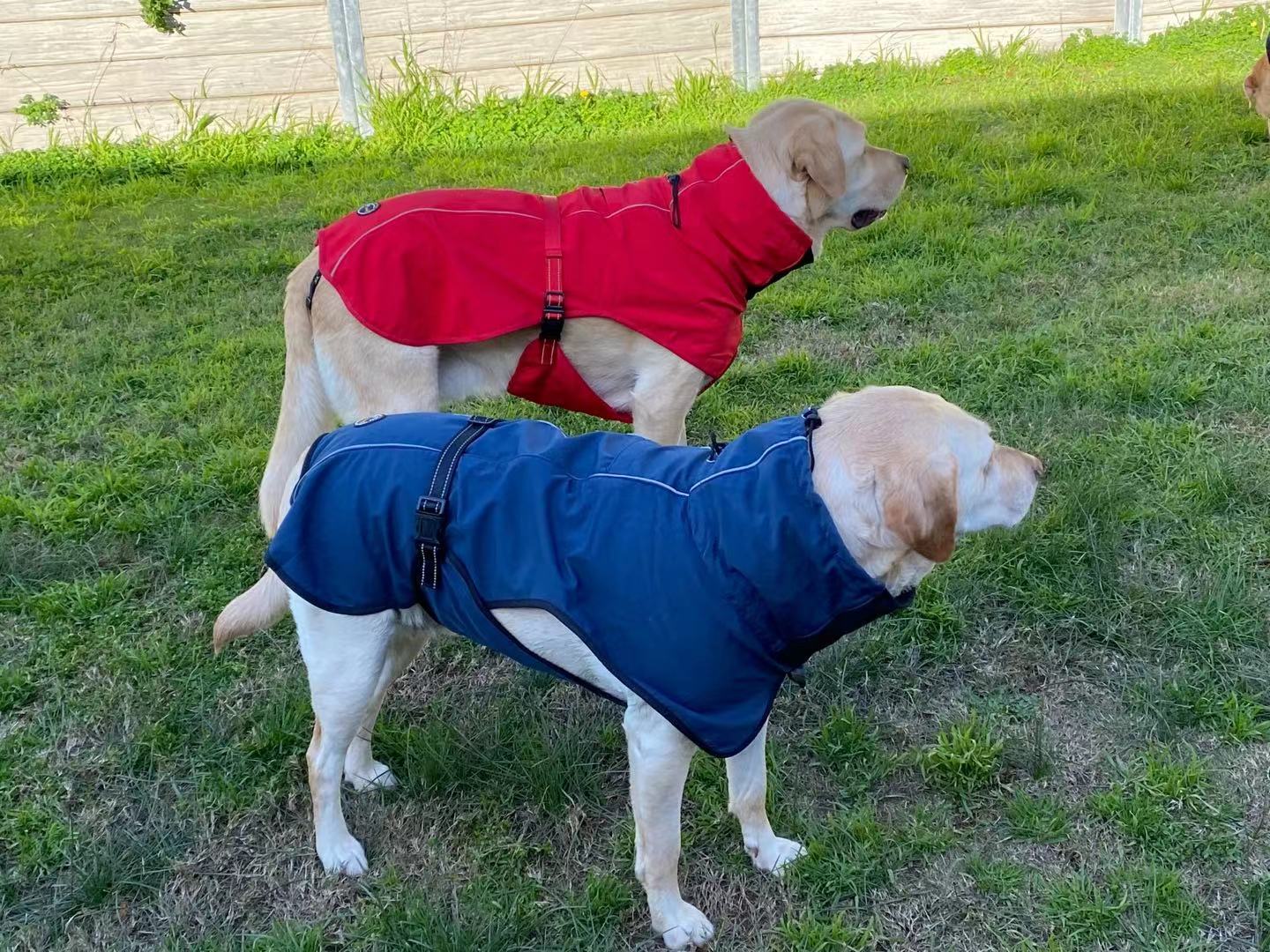 Pet Dog Raincoat Poncho Jacket, Waterproof Clothes with Harness Hole-S-Black