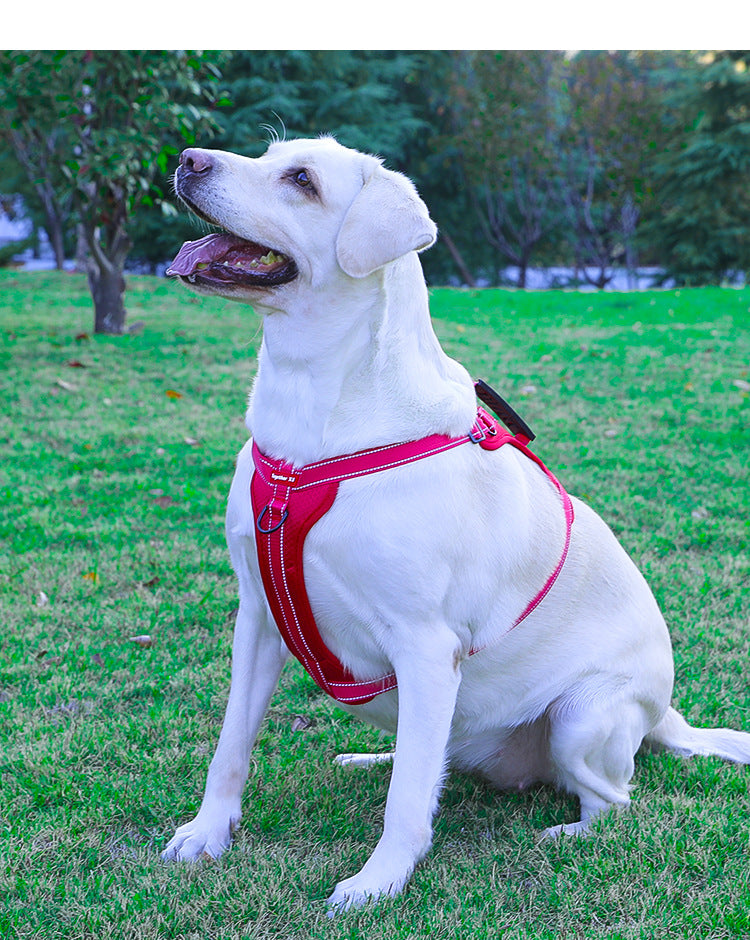 Reflective Dog Harness, No-Pull Vest Harness for Dogs, Adjustable with Handle - S