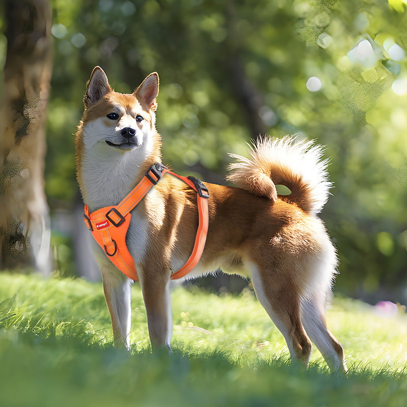 Reflective Dog Harness with Leash, No-Pull Vest Harness for Walking and Training - XL