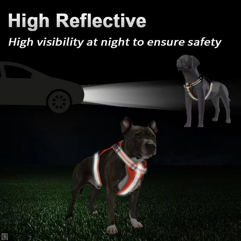 Reflective Dog Harness with Leash, No-Pull Vest Harness for Walking and Training - XL