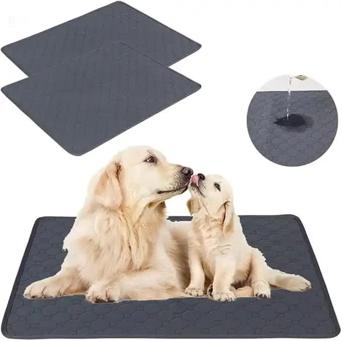 2 PCS Potty training, Washable Waterproof Pet Pad-Non-Slip, M(70*50cm)