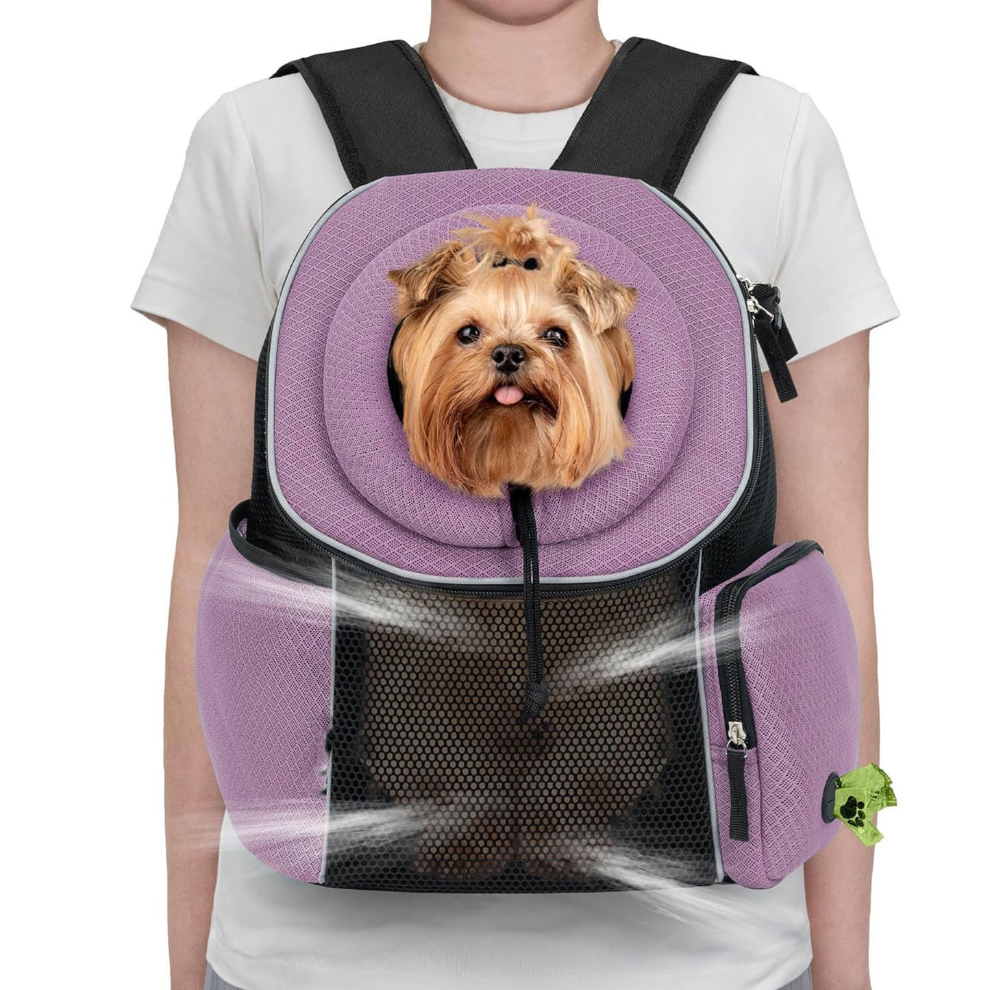 Breathable, Mesh, Pet Carrier Backpack - Head-Out Design, Small Dogs & Cats