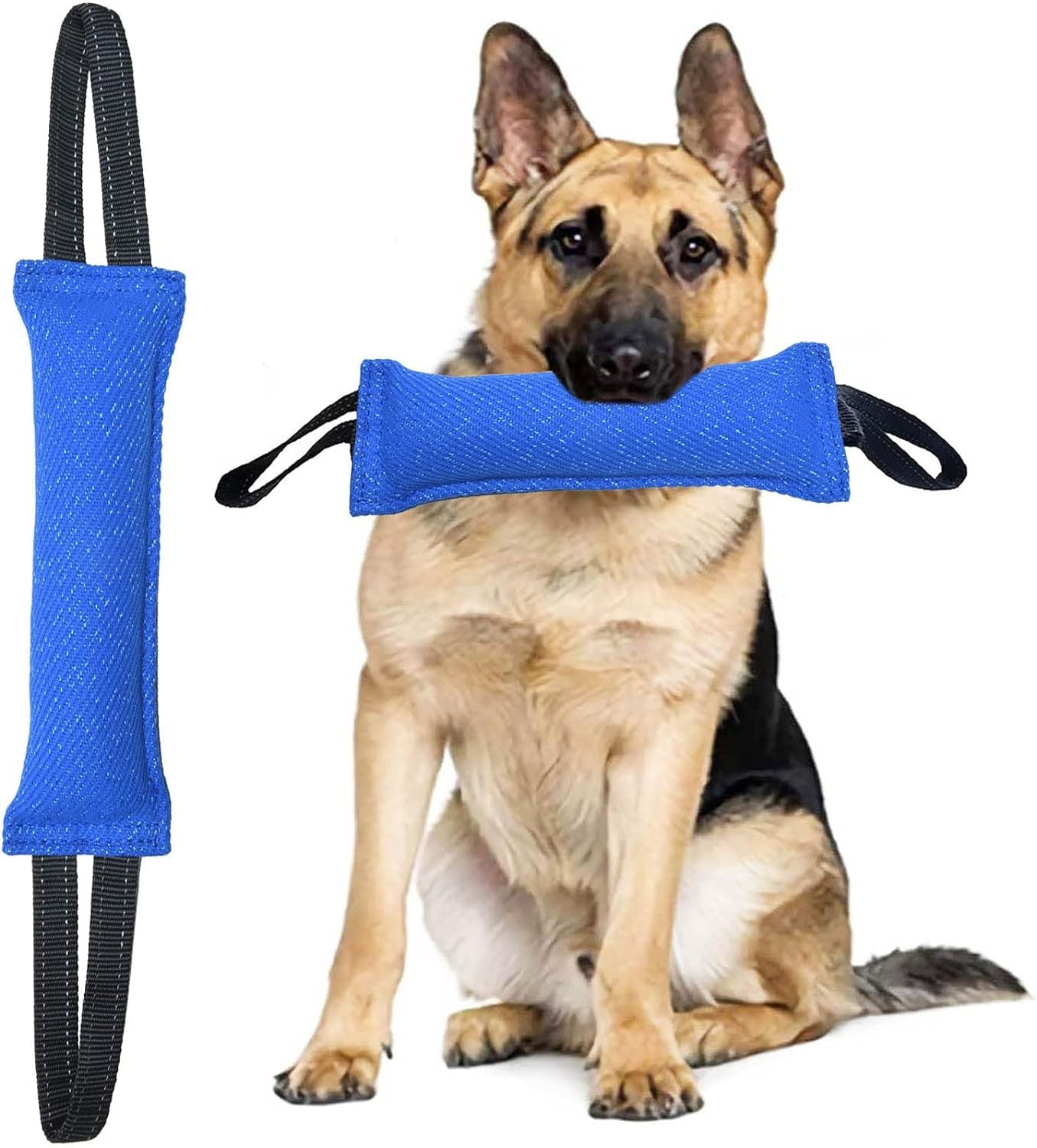 Blue Durable 2-Pack Tug-of-War Dog Training Toy - Tear-Resistant, Safe