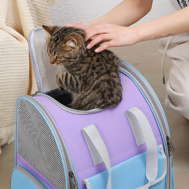 Orange Portable Pet Carrier Backpack - Spacious, Breathable, small dogs and cats