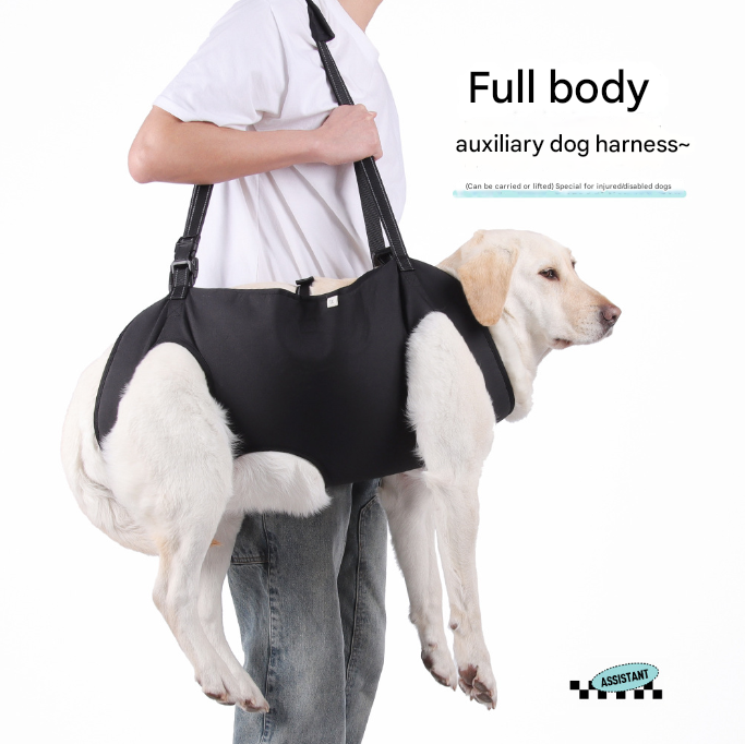 Dog Support Harness, Arnica, Hemp Balm - One Bundle