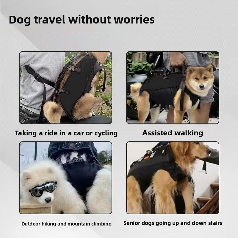Love of Pets