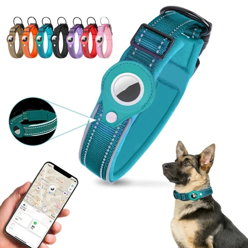 Leather, Pet Airtag Case, Nylon Traction Collar - Variety