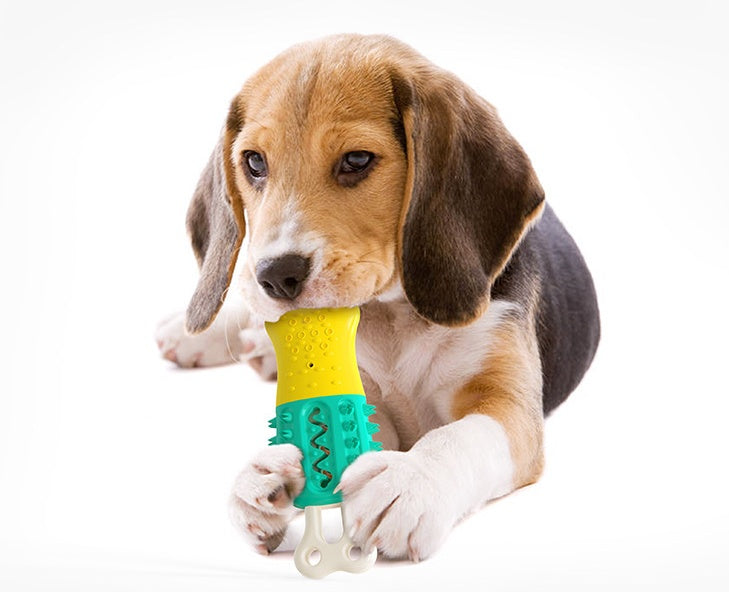 Dog Teeth Cleaning, Freeze and Chew, Summer Cooling, Hydrating